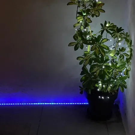 Rosa Luxury 2 Bed 2 Bath With Private Pool, Patio Playa Blanca (Lanzarote)