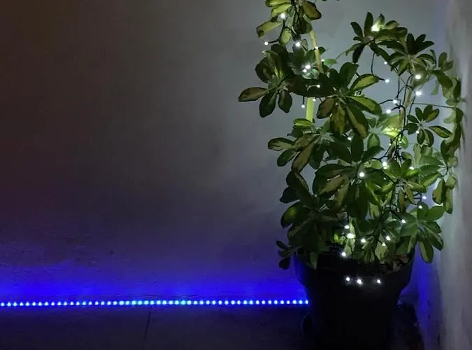 Rosa Luxury 2 Bed 2 Bath With Private Pool, Patio Playa Blanca (Lanzarote)