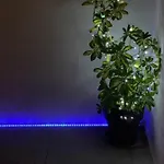 Rosa Luxury 2 Bed 2 Bath With Private Pool, Patio Playa Blanca (Lanzarote)